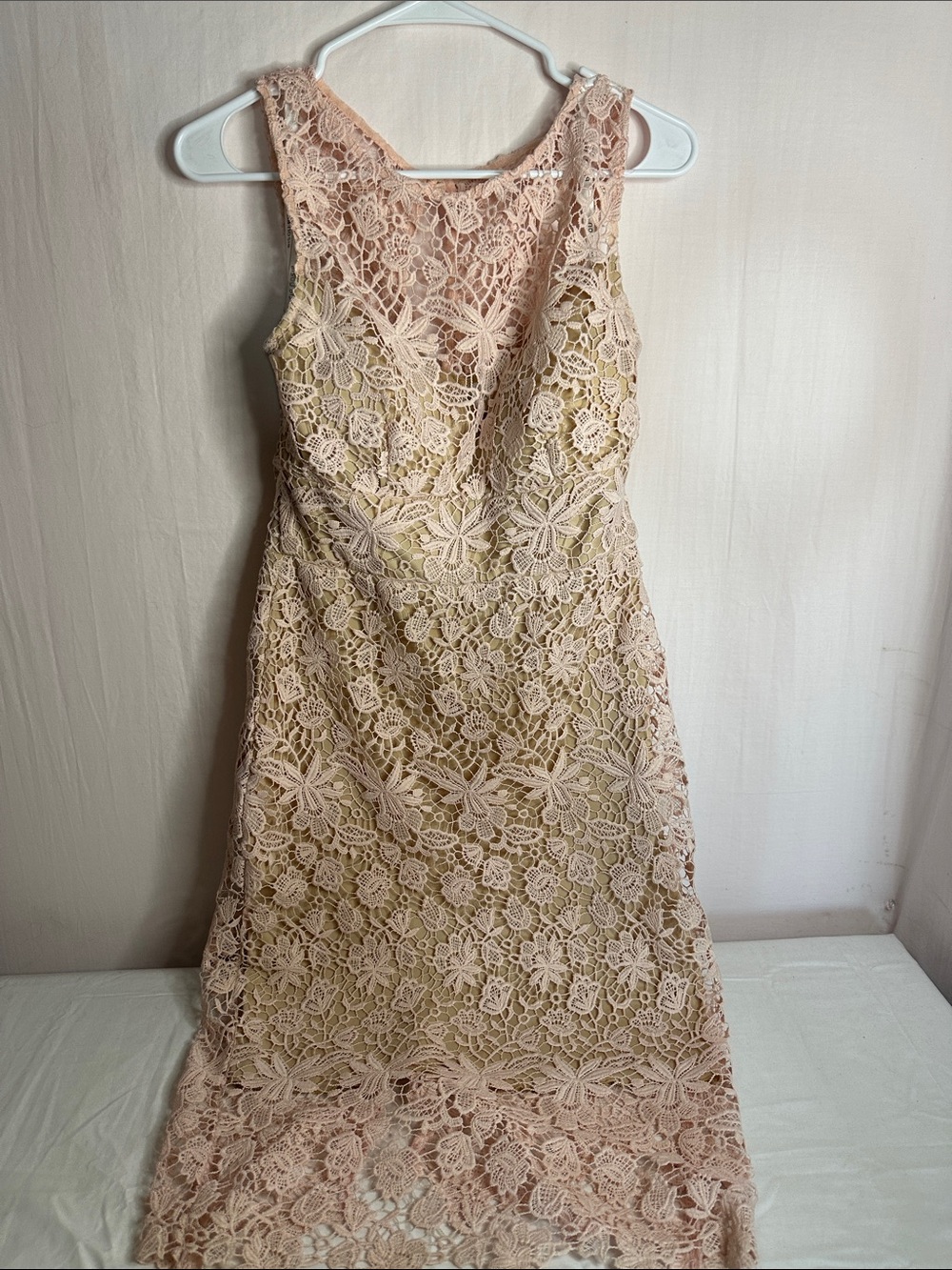 Bisou Bisou Blush Pink Floral Lace Midi Dress